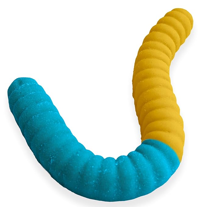 World's Largest Gummy Worm Neon Sour 2 Tone Blue Raspberry/Lemonade Blister Packaging 26 Inches 3lb 1ct