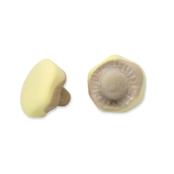 Banana Caramel Mushroom 1kg (Sweden)