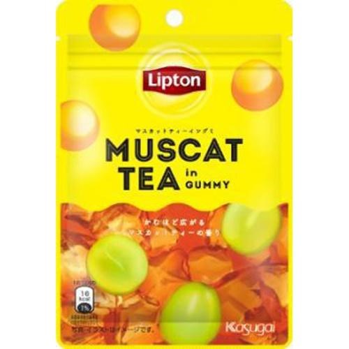 Kasugai Lipton Muscat Tea In Gummy 39g 12ct (Japan)
