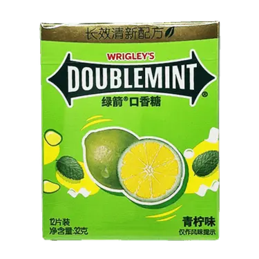 Doublemint Chewing Gum Lime & Peppermint Flavor 32g 10ct (China) - candynow.ca