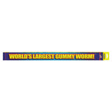 World's Largest Gummy Worm Fruity Bubblegum 26 Inches 3lb 1ct